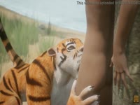 Tiger gives blowjob to a man before animal sex